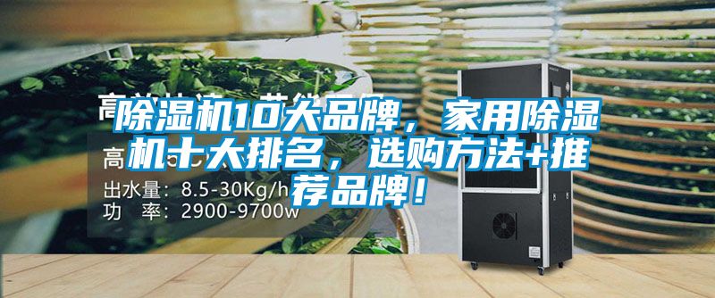 除濕機10大品牌，家用除濕機十大排名，選購方法+推薦品牌！