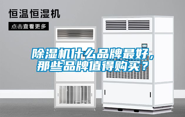 除濕機(jī)什么品牌最好，那些品牌值得購買？