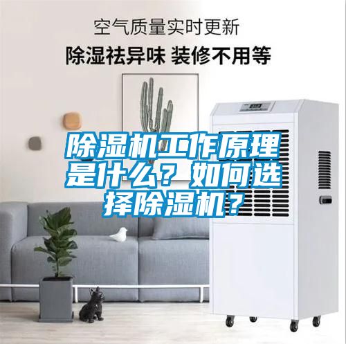 除濕機(jī)工作原理是什么？如何選擇除濕機(jī)？