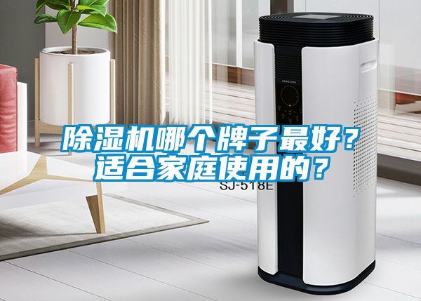 除濕機哪個牌子最好？適合家庭使用的？