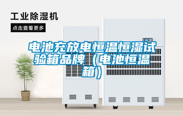 電池充放電恒溫恒濕試驗(yàn)箱品牌（電池恒溫箱）