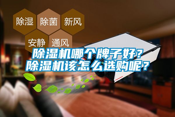 除濕機哪個牌子好？除濕機該怎么選購呢？