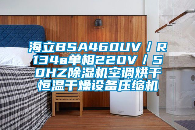 海立BSA460UV／R134a單相220V／50HZ除濕機空調(diào)烘干恒溫干燥設(shè)備壓縮機