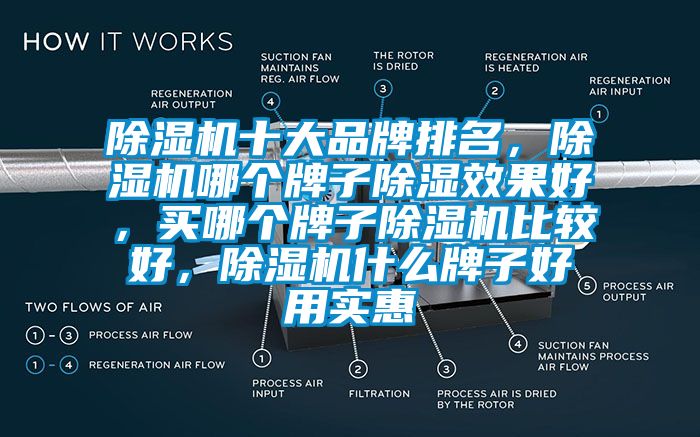 除濕機(jī)十大品牌排名，除濕機(jī)哪個(gè)牌子除濕效果好，買哪個(gè)牌子除濕機(jī)比較好，除濕機(jī)什么牌子好用實(shí)惠