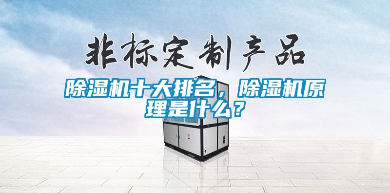 除濕機(jī)十大排名，除濕機(jī)原理是什么？