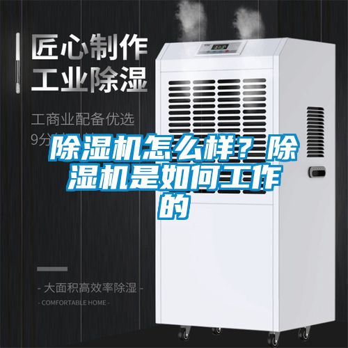 除濕機怎么樣？除濕機是如何工作的