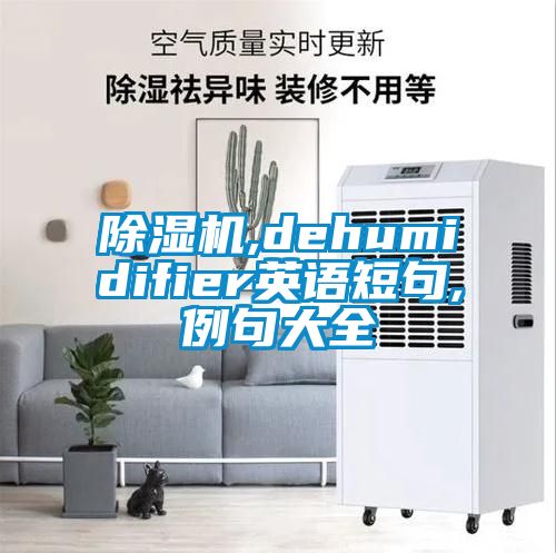 除濕機(jī),dehumidifier英語短句,例句大全