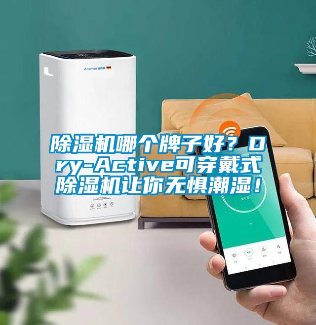 除濕機哪個牌子好？Dry-Active可穿戴式除濕機讓你無懼潮濕！