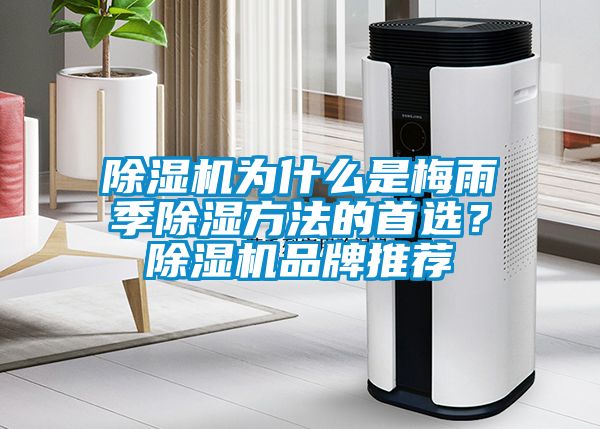 除濕機(jī)為什么是梅雨季除濕方法的首選？除濕機(jī)品牌推薦