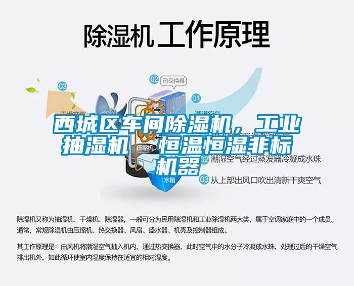 西城區(qū)車間除濕機，工業(yè)抽濕機  恒溫恒濕非標機器