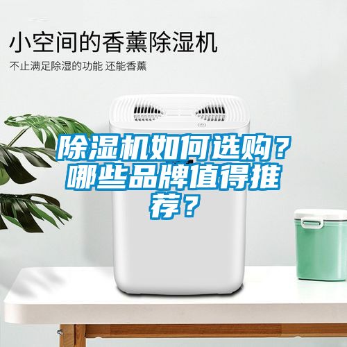 除濕機(jī)如何選購？哪些品牌值得推薦？