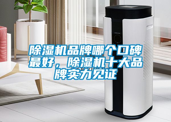 除濕機(jī)品牌哪個口碑最好，除濕機(jī)十大品牌實力見證