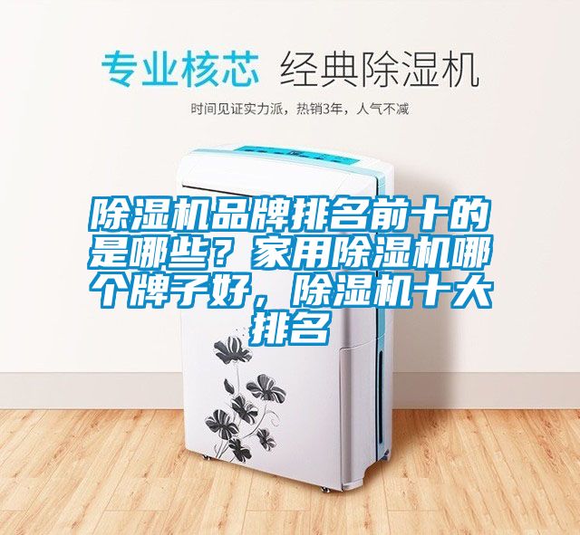 除濕機品牌排名前十的是哪些？家用除濕機哪個牌子好，除濕機十大排名