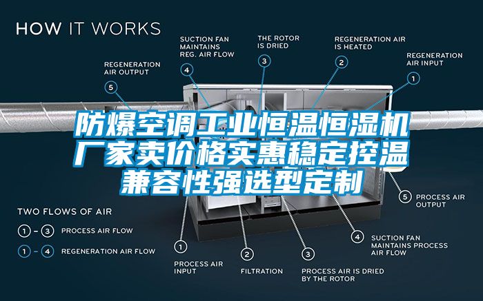 防爆空調工業(yè)恒溫恒濕機廠家賣價格實惠穩(wěn)定控溫兼容性強選型定制