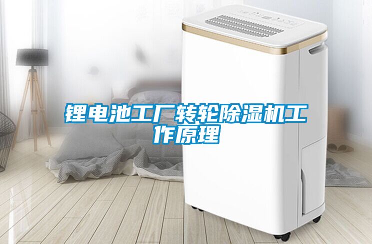 鋰電池工廠轉(zhuǎn)輪除濕機(jī)工作原理