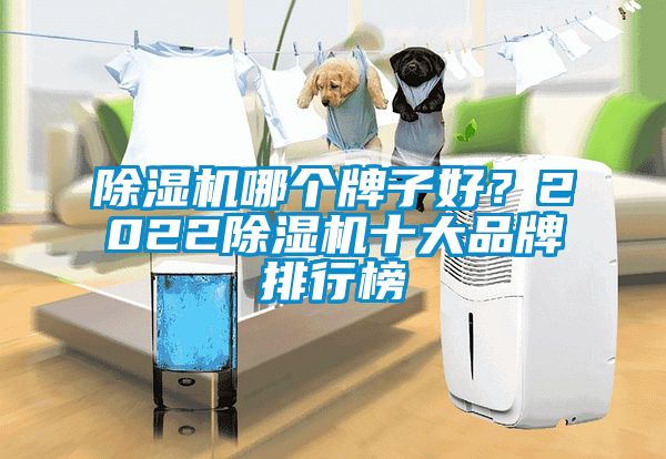 除濕機(jī)哪個(gè)牌子好？2022除濕機(jī)十大品牌排行榜