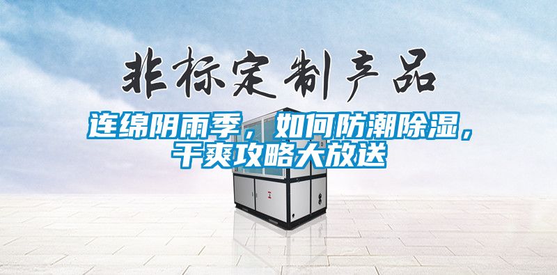 連綿陰雨季，如何防潮除濕，干爽攻略大放送