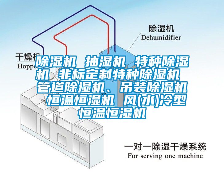 除濕機 抽濕機 特種除濕機 非標(biāo)定制特種除濕機 管道除濕機、吊裝除濕機 恒溫恒濕機 風(fēng)(水)冷型恒溫恒濕機