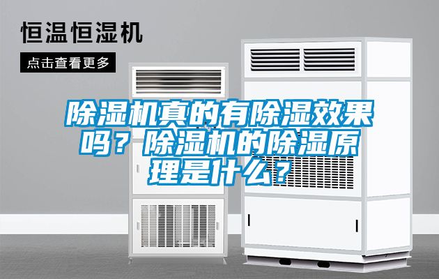 除濕機(jī)真的有除濕效果嗎？除濕機(jī)的除濕原理是什么？