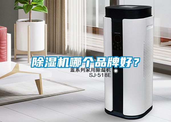 除濕機哪個品牌好？