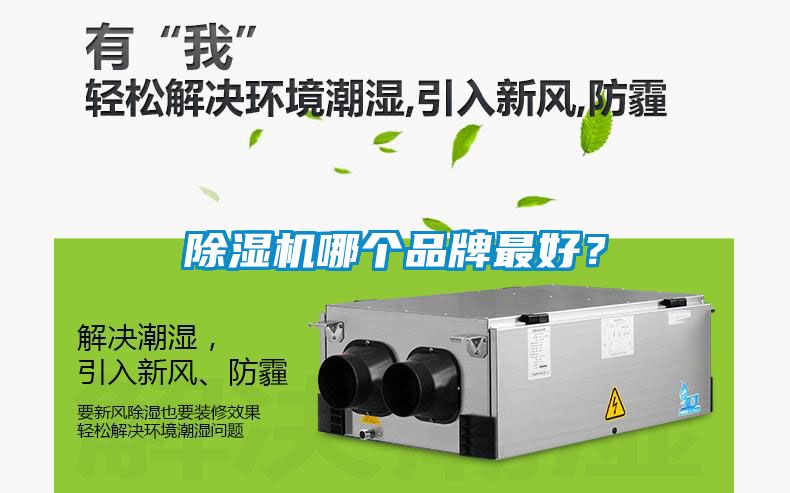 除濕機哪個品牌最好？