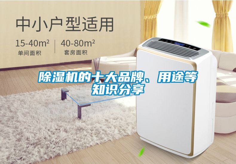 除濕機(jī)的十大品牌、用途等知識(shí)分享