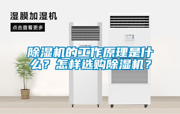 除濕機的工作原理是什么？怎樣選購除濕機？