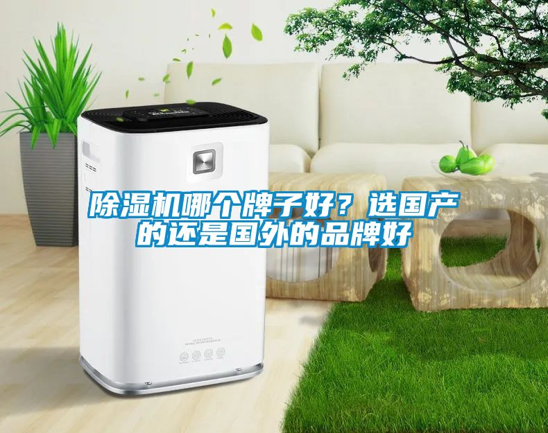 除濕機(jī)哪個(gè)牌子好？選國(guó)產(chǎn)的還是國(guó)外的品牌好