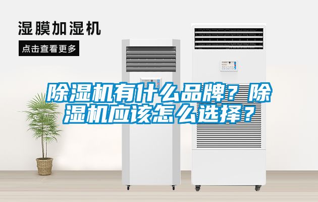 除濕機(jī)有什么品牌？除濕機(jī)應(yīng)該怎么選擇？