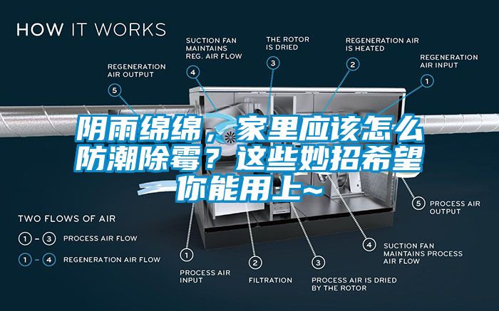 陰雨綿綿，家里應(yīng)該怎么防潮除霉？這些妙招希望你能用上~