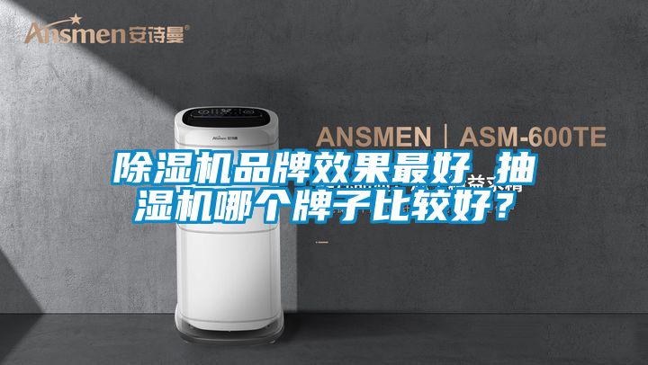 除濕機品牌效果最好 抽濕機哪個牌子比較好？