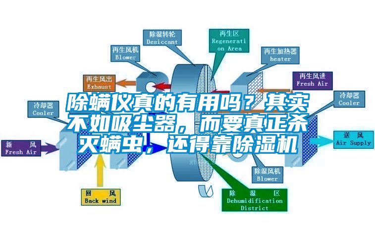 除螨儀真的有用嗎？其實(shí)不如吸塵器，而要真正殺滅螨蟲，還得靠除濕機(jī)